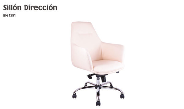 sillon direccion bm 1291