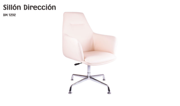 silla direccion bm 1292