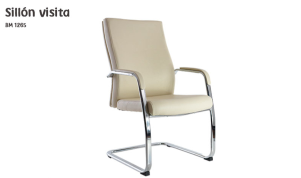 silla visitante bm 1265