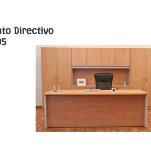 Conjunto Directivo MEE005