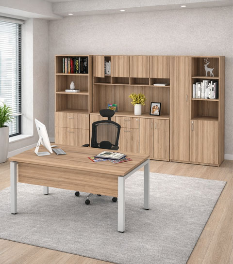 Conjuntos Ejecutivos y Semi ejecutivos