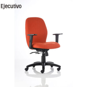 Sillón Ejecutivo BM 2480