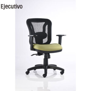 Sillón con Diseño Ergonómico BM 1000 SL