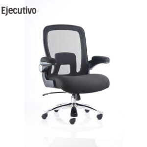 Sillón Ejecutivo BM 2980