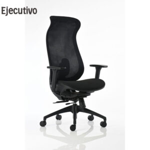 Sillón Ejecutivo BM 6000
